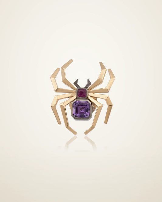 Spider